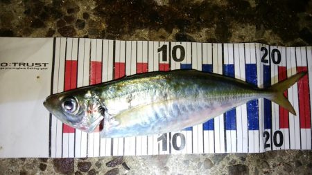 流れの中を漂わせて